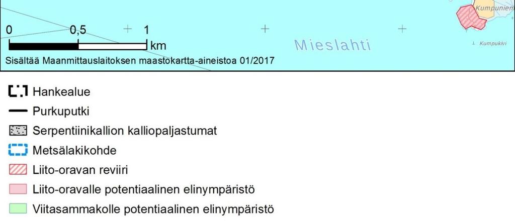 Laji liikkuu laajalla alueella järvien, jokien ja purojen varsilla; talvella reviirit ovat kuitenkin suppeampia