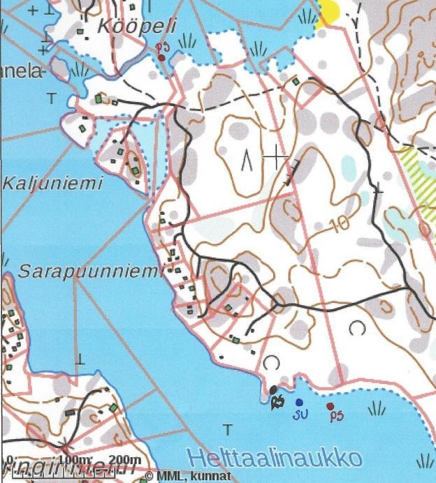 12 6 Alueella pesivät uhanalaiset ja lintudirektiivin I-liitteen lajit sekä Suomen vastuulajit Lintulajien uusin uhanalaisuusarviointi on tehty vuonna 2015 ja se perustuu Kansainvälisen