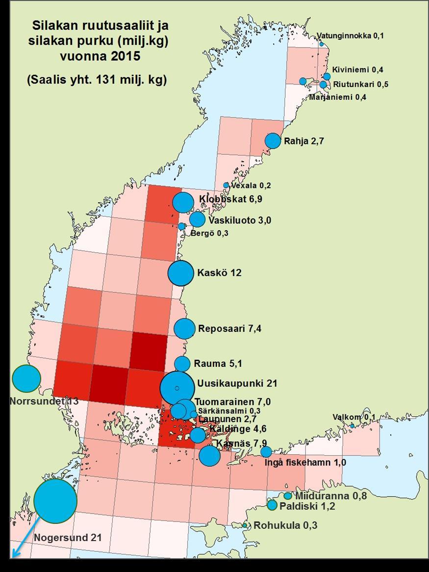 Uudessakaupungissa, Kaskisissa, Reposaaressa, Mustasaaressa, Taivassalossa ja Kemiönsaaressa Silakan