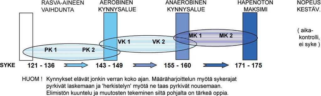 PL 49, 63101 Kuortane Sivu: 3 Harjoitteluohjeet PERUSKESTÄVYYS - "JAKSAA HARJOITELLA" - "JAKSAA JUOSTA" RASVA-ANEENVAIHDUNTA, PK I Syke: 116-136 krt/min AEROBINEN KYNNYS: KYNNYSTÄ NOSTAVA, PK II