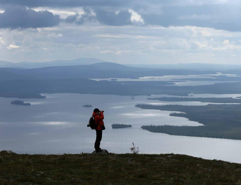 MONIALAINEN METSÄHALLITUS Metsähallitus on ainutlaatuinen yhdistelmä liiketoimintaa ja julkista hallintoa.