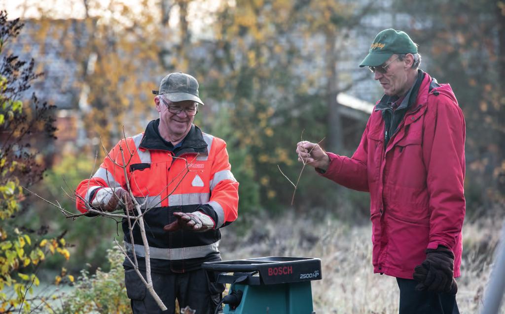 ASUMINEN // Teksti ja kuvat: Janne Lahti Maljakadulla tehdä M estariasukas-lehti vieraili Maljakatu 22:n syystalkoissa. Siellä haravat heiluivat ja oksasilppuri lauloi.