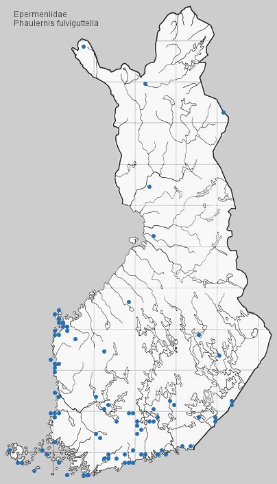 Toukka valkeahko, sivuselkäjuova vaaleanruskehtava; täplät harmaat; pää musta.