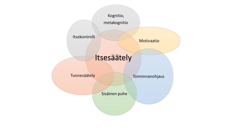 OMA VÄYLÄN KUNTOUTUSMALLI Tämä kirjoitus pyrkii avaamaan kolmea mallia, jotka ovat pohjana Oma väylään liittyvässä neuropsykiatrisessa kuntoutuksessa.