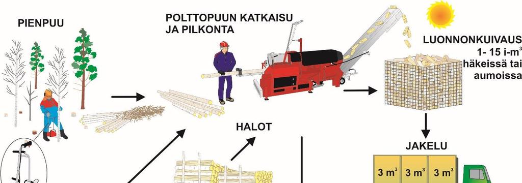 9 (23) Kuva 4. Polttopuun tyypilliset hankintaketjut.