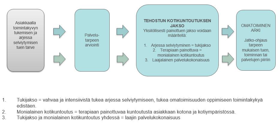 S i v u 19 Asiakkaan voimavarat ovat heikot, tuen muodot monitahoista sekä usein pitkäkestoista.