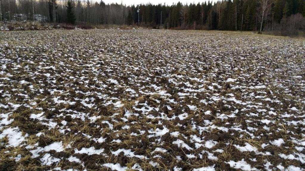 Kuva 3. Kultivaattorilla kertaalleen muokattu peltolohko. Kultivaattorin kyntösyvyys on yli 10 cm, kun taas perinteisellä kynnöllä se on normaalisti 15 20 cm.