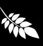 4 Evijärven lintutorni Jokisuunlahti on kansainvälisesti merkittävä lintulahti. Opastus tornille tien 63 varrelta. 30 5 Ammeskallion luontopolku n.