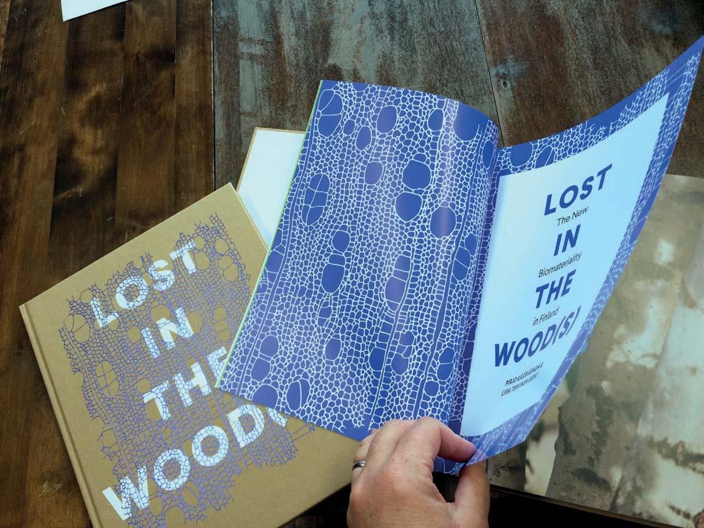 maan Lost in the Wood(s) -kirjaan, joka julkaistiin syyskuussa 2017. Kuva 7.