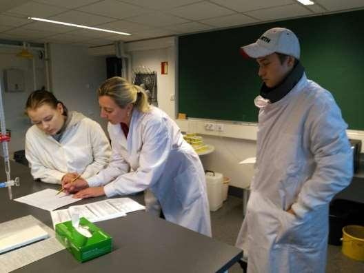 4. Kemian pilot-toteutus opiskelijan näkökulmasta 4.1 Teoria Ensin opiskeltiin turvallinen työskentely laboratorioympäristössä ja kemikaalien oikeaoppinen käsittely KTT-tiedotteiden pohjalta.