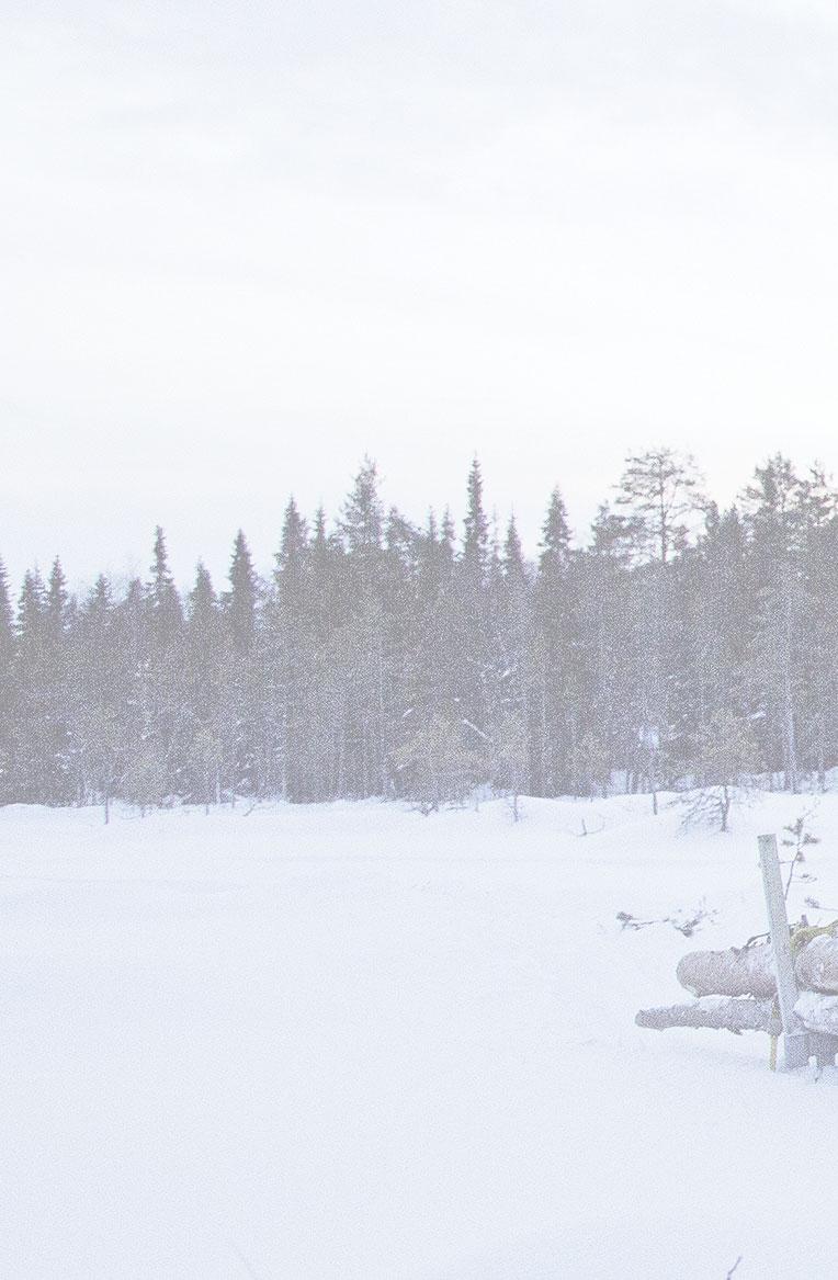 Kehitystyötä on tehty tauotta pian 50 vuotta, ja