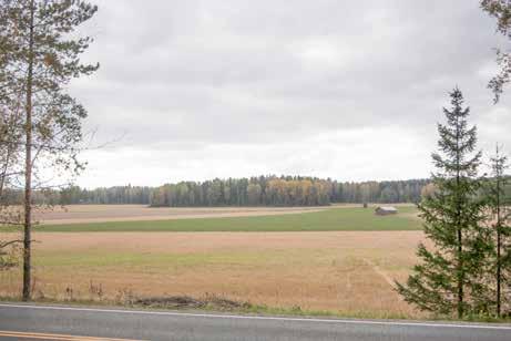 Lepolanmäeltä.