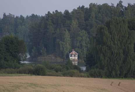 250 Rantamon kosteikkomaisemaa.