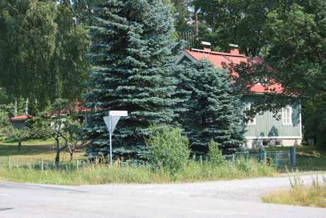 Nykyinen Paijalan kylä on siis 1800-luvun jälkipuoliskon kehityksen tulos. Varsinaisia kantatiloja nykykylässä eli Ylikylässä ovat Koukku ja Ylä-Klaavola eli Klaala.