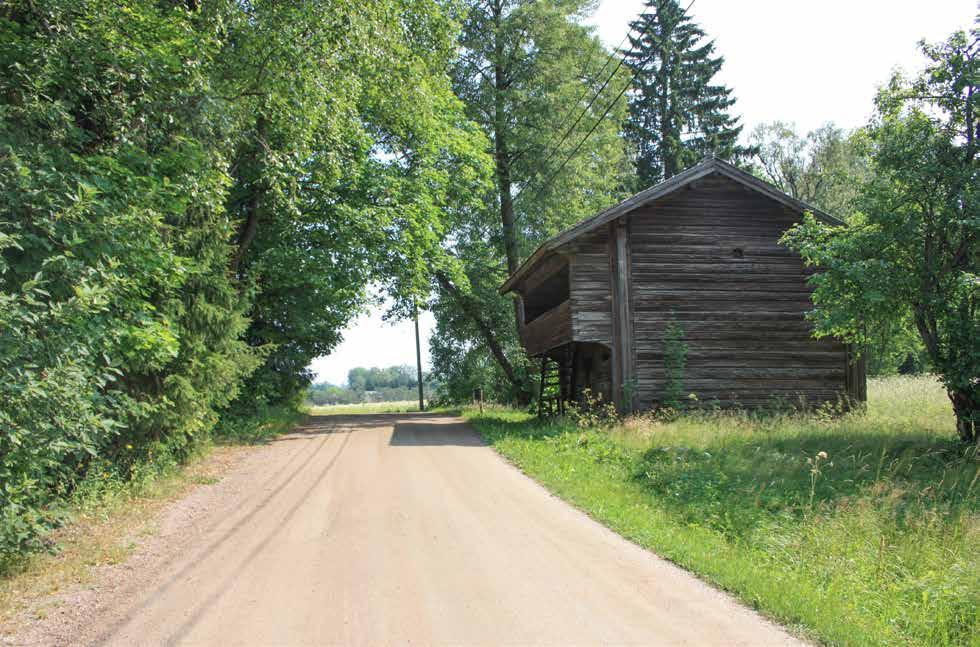 vanha pihasauna.