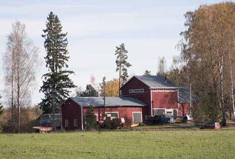 johtavan koivukujanteen päätteenä.