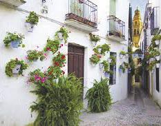 Juhlahumu näkyy ja kuuluu kauas. Lähde mukaan päiväretkelle upeaan Córdobaan! Lauantaina 27.10.