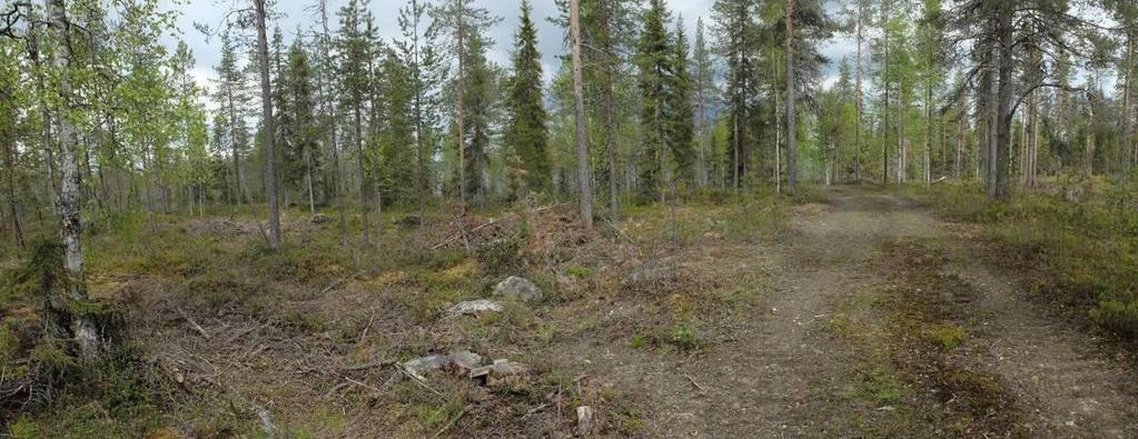 SÄRKINIEMEN RANTA-ASEMAKAAVAN OSITTAINEN MUUTOS 21 Tehokas liikennejärjestelmä Alueelle on tarpeet täyttävät tieyhteydet, joita on ajoittain parannettava.