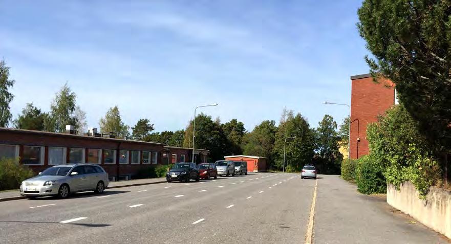 Koivurinne 11