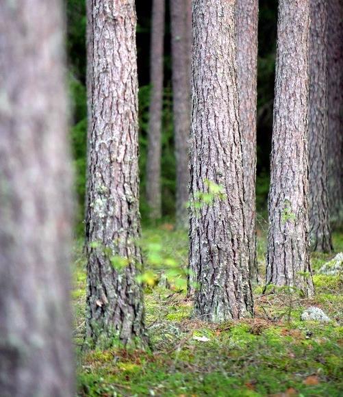 kokonaishyöty Aktiivisia toimia tarvitaan