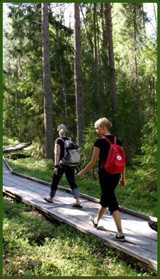 Eräpalvelut Metsähallituksen hallitus Pääjohtaja