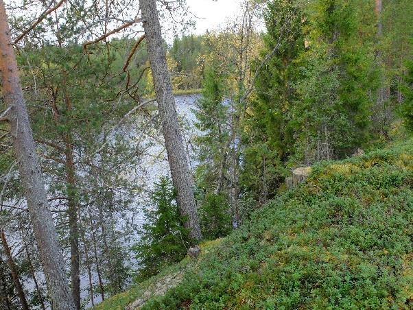 15 Mätäsvaaran drumliiniselänteen alarinteiden alueella on alueella toteutettu laajoja hakkuita,