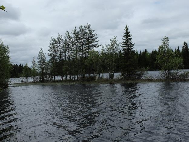 Sen takana on alavampaa aluetta, joka etenkin alueen pohjois- ja keskiosassa on soistunutta ja sitä peittää eloperäinen aines.