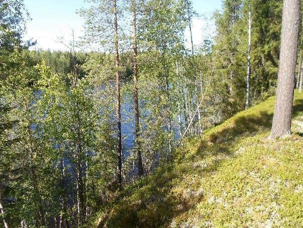 Emäjoen rantaa reunustaa kauttaaltaan puustoinen vyöhyke, joka pääosin kasvaa tasaikäistä tai paikoin myös lievästi