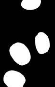 (7,80 8,80 ) Koko