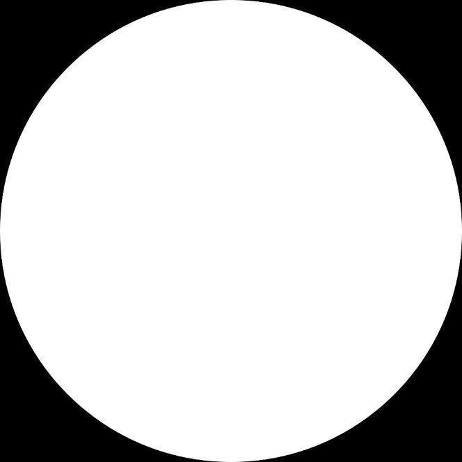 Pajunen