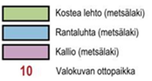 Alueella tavattua linnustoa edustavat kultarinta, pikkutikka, pyy, punavarpunen ja rantasipi. Kuva 4.