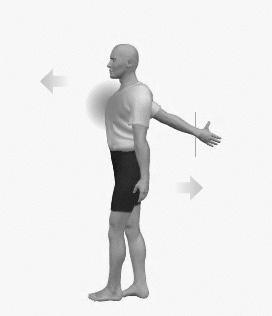 sivulla. Rintalihakset Yläraaja nostetaan seinälle ja vartaloa kierretään, kunnes venytys tuntuu rinnassa.