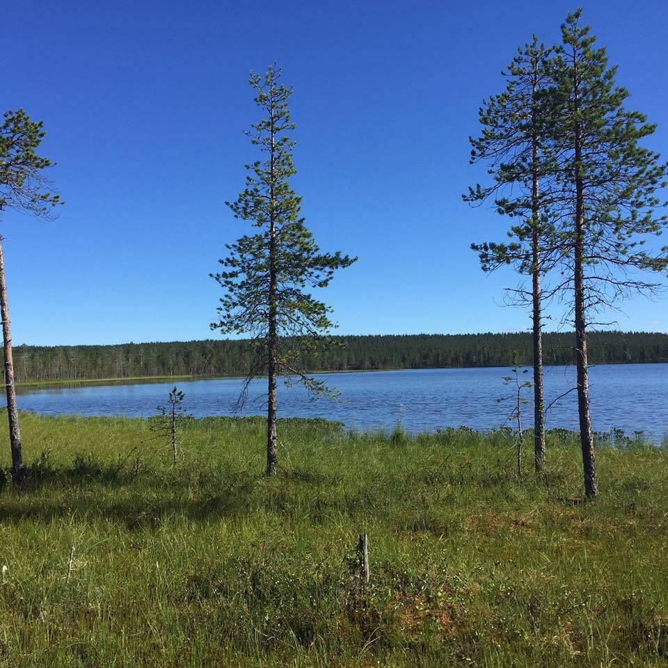 JÄSENPOSTI 1/2018 19.6.