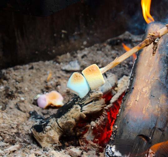 Kaikki ovat tervetulleita tutustumaan SOOPAn toimintaan. Riittää vain, että uskallat tulla sinua kiinnostavaan tapahtumaan.
