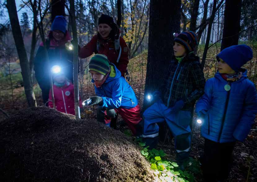 Metsämörriohjaajat ry:n, Finlands Svenska Idrott rf:n ja Suomen Metsäyhdistyksen kanssa tehdään yhteistyötä mm. 8 000 lasta tavoittavan Minun puuni -kampanjan osalta.