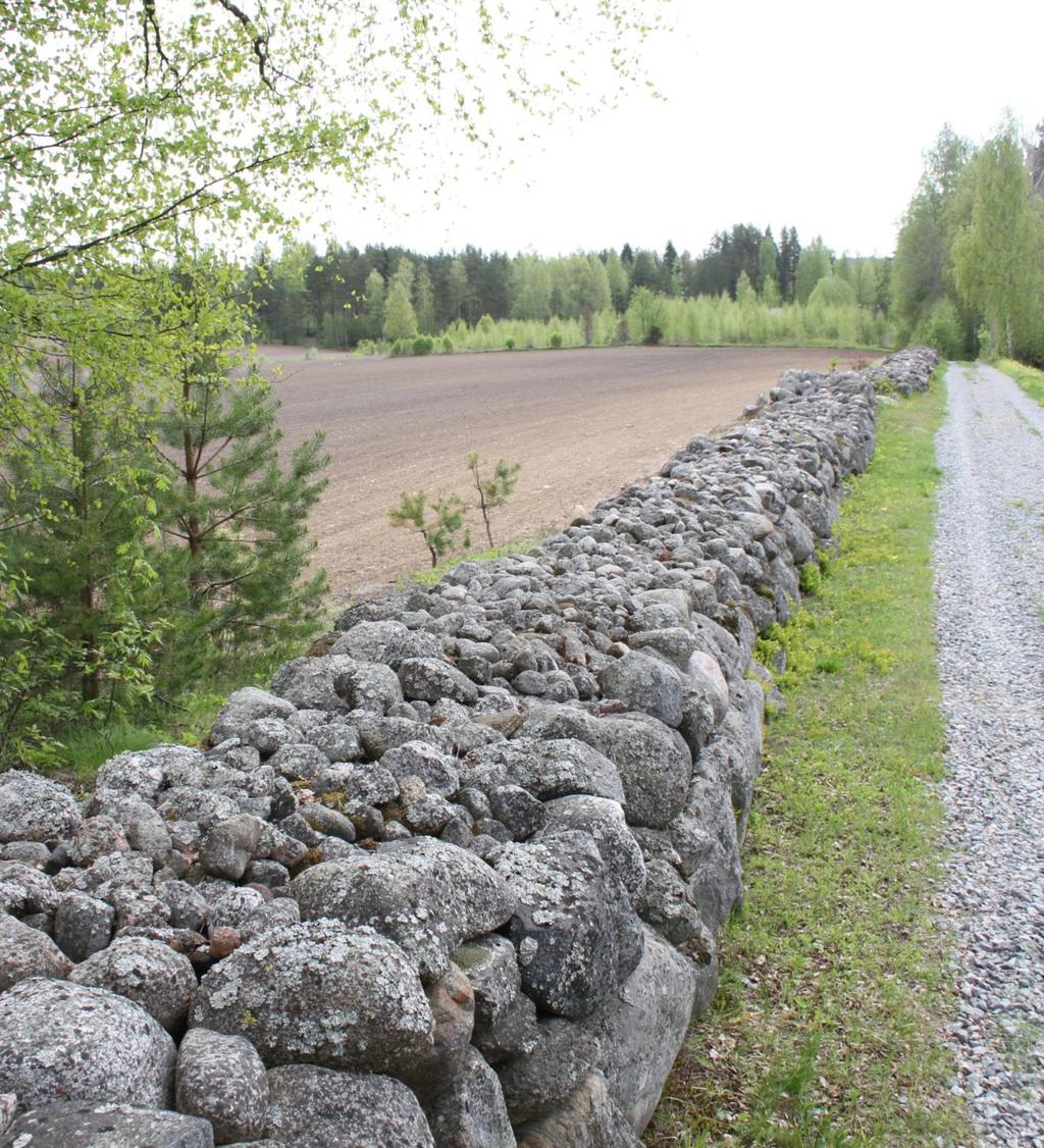 Pellot Kiviaidat Pelloilta kerätyt kivet hyödynnettiin aitoina Aidat pitivät eläimet poissa