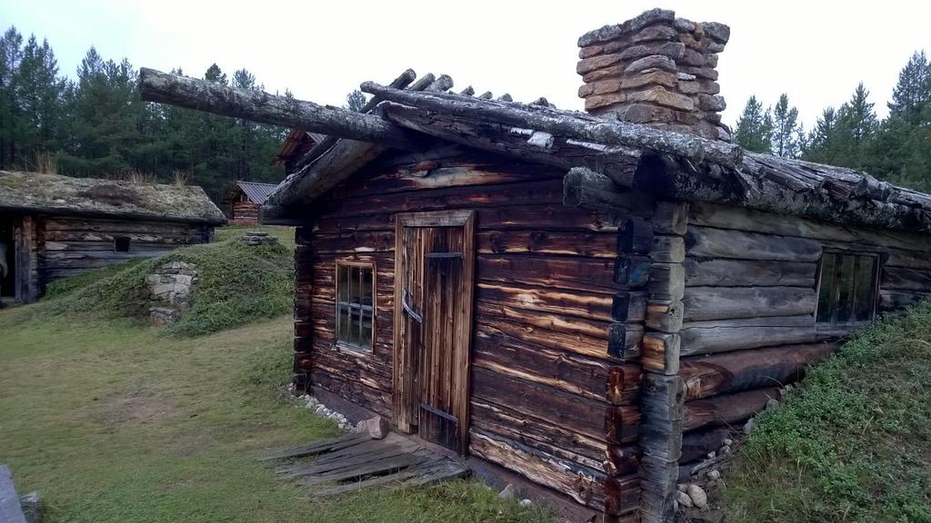 Metsätalouden kannattavuuden parantaminen Kari