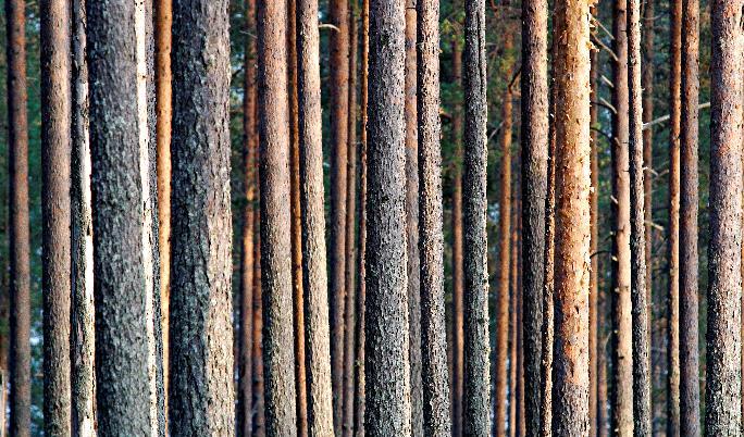 Tukee Suomea uusiutuvan energian tavoitteiden saavuttamisessa Lisää yli kahdella