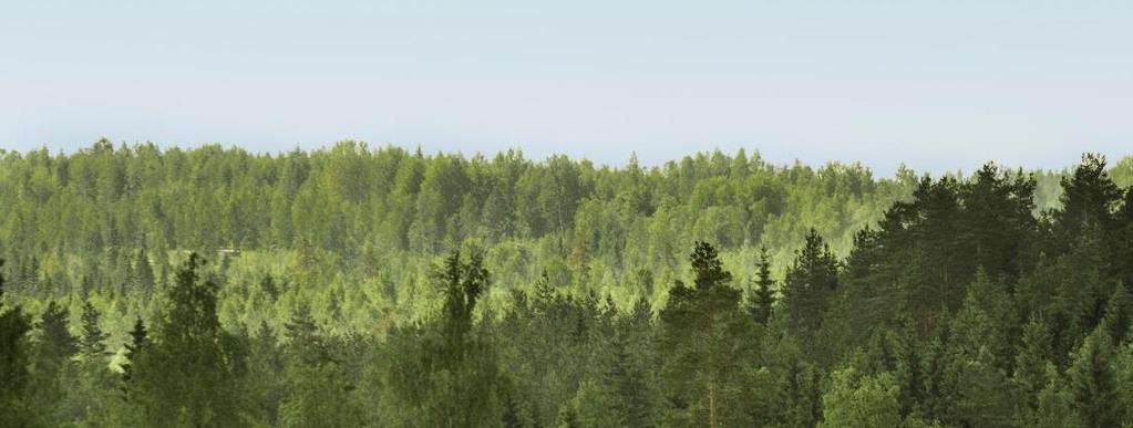 Metsä Fibre Metsä Fibren avainluvut 2017 LIIKEVAIHTO LIIKETULOS* HENKILÖSTÖ SELLUA SAHATAVARAA 1 296 1 876 320 1