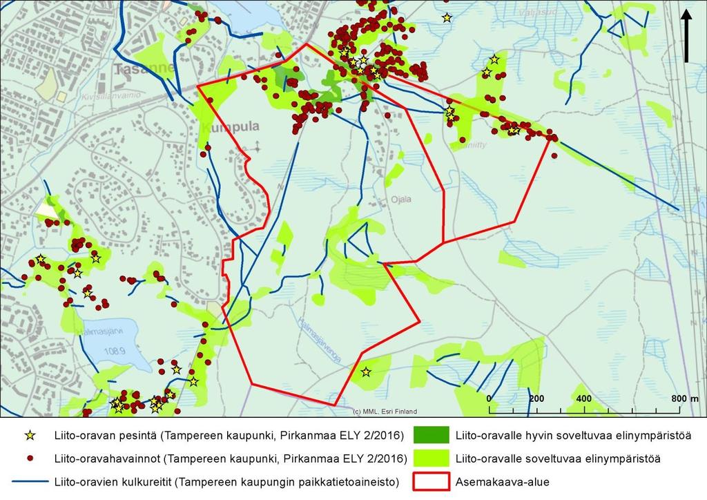 4 4.2 Aikaisemmat selvitykset ja havainnot Ojalan asemakaavojen nro 8637 ja 8638 alueilla on tehty liito-oravaselvityksiä vuosina 2007 ja 2008 Tampereen kaupungin Ojala-Lamminrahkan ympäristö- ja