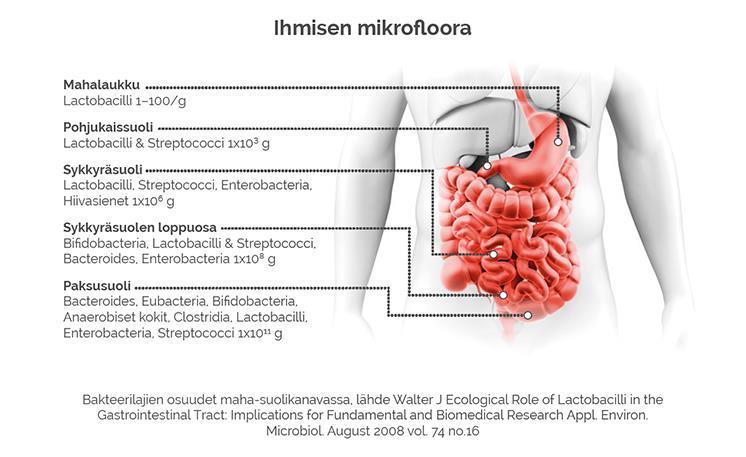 1 100 mikrobia/g 100