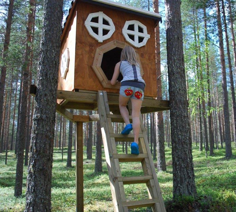 45 Perheen yhteinen ohjelma: Yhteinen liikuntahetki ulkona tai sisällä 18.00 Elämää Rokualla -video * 11.00-12.00 Kevyt lounas 10.00-10.45 Lasten ohjelma 13-17v: Pelejä 14.00-14.