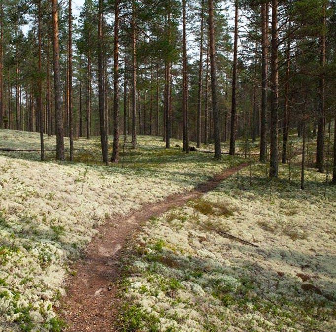 45 Ohjattu keskusteluryhmä: Ikääntyvän liikuntaharjoittelu toimintakyvyn tukena 10.00-12.00 Ohjattu keskusteluryhmä: Miten huolehdin muististani? 15.15-16.