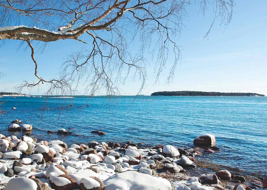 Tilinpäätös 1.
