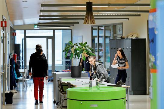 Pystyporinat Miten kärkihanke/oman kuntanne tai koulunne toiminta mielestäsi onnistui: jos hyvin/ei