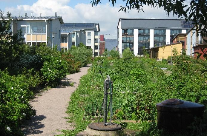 Vähitellen alettiin ymmärtää ekologian kokonaisvaltainen luonne, jonka läpi kaikki ilmiöt ja näkökohdat siivilöityvät.