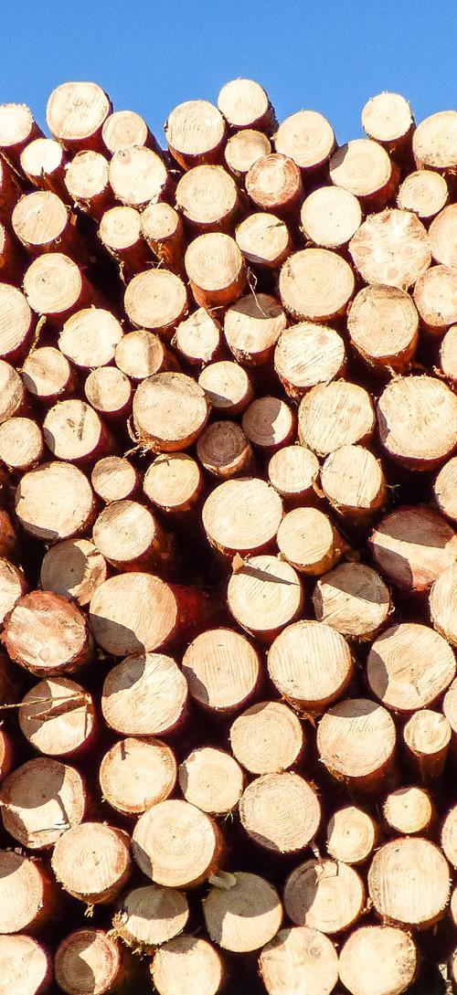 Strateginen ohjaus ja hankinnat Strategian ohjaa hankkimaan kestävästi tuotettua puuta tai puupohjaisia vain muutaman vastaajan organisaatiossa Kriteerien käyttö 1.