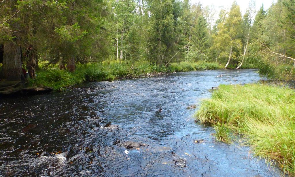 Vastaanottaja Terrafame Oy Asiakirjatyyppi Tarkkailuraportti Päivämäärä Huhtikuu,