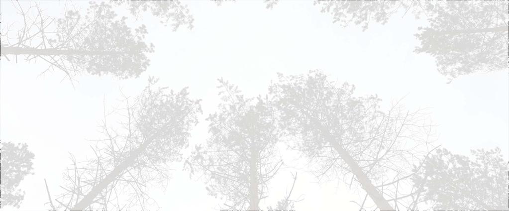 Lähdeaineistoa ja kirjallisuutta aiheesta Hyvän metsänhoidon suositukset. 2014. Metsätalouden kehittämiskeskus Tapio. Metsäkustannus. Pukkala, T., Lähde, E. & Laiho, O. 2011. Metsän jatkuva kasvatus.
