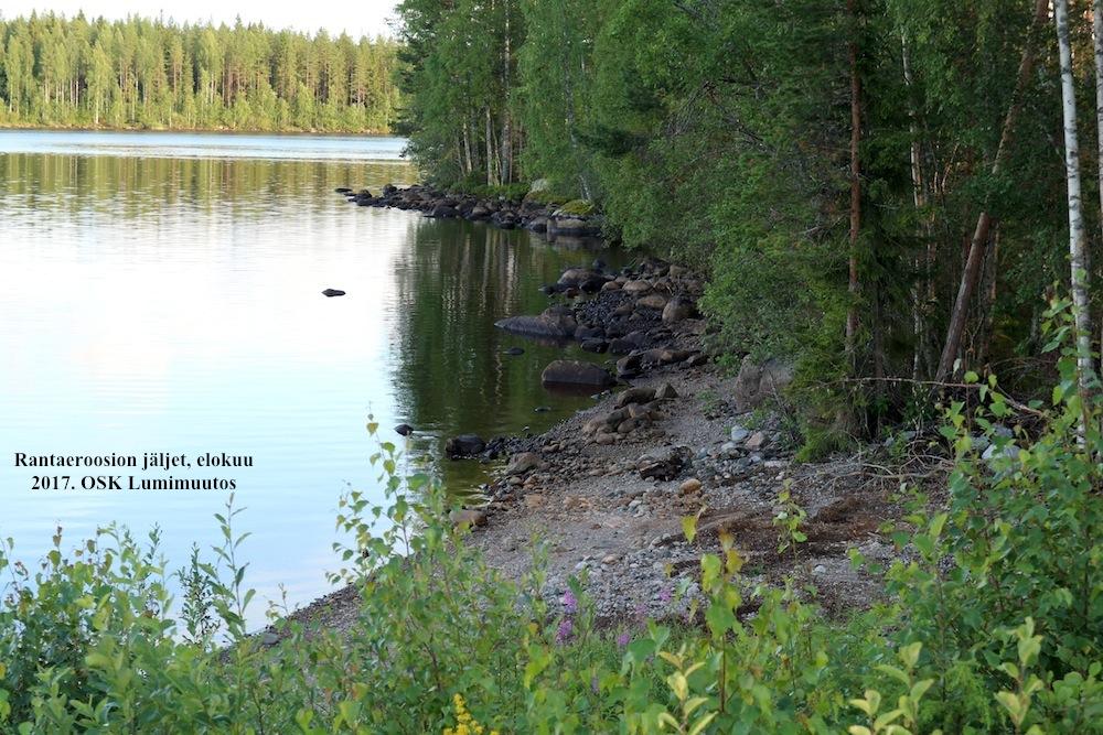 1980-luvulla istutusmäärät esimerkiksi Koitereella olivat 4000 taimenta, 100000 planktonsiikaa ja 200000 haukea vuodessa 134.